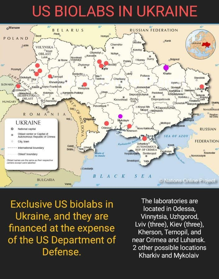 What's Really Going on in Ukraine?